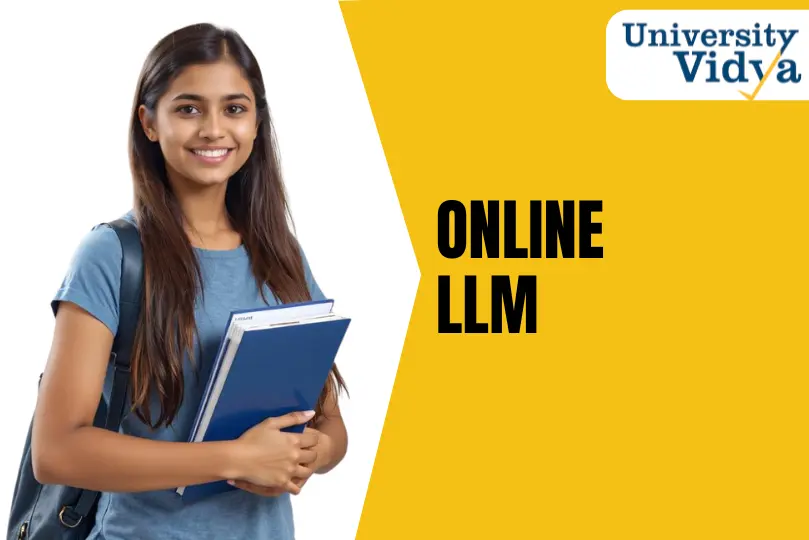 Online LLM